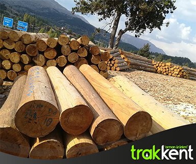 Çorlu Tomruk