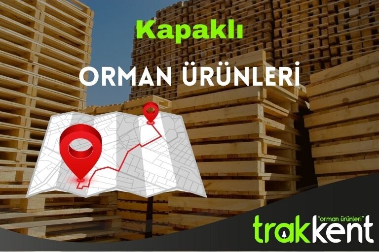 Kapaklı Palet