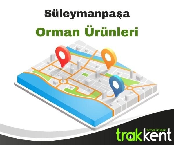 Süleymanpaşa Palet