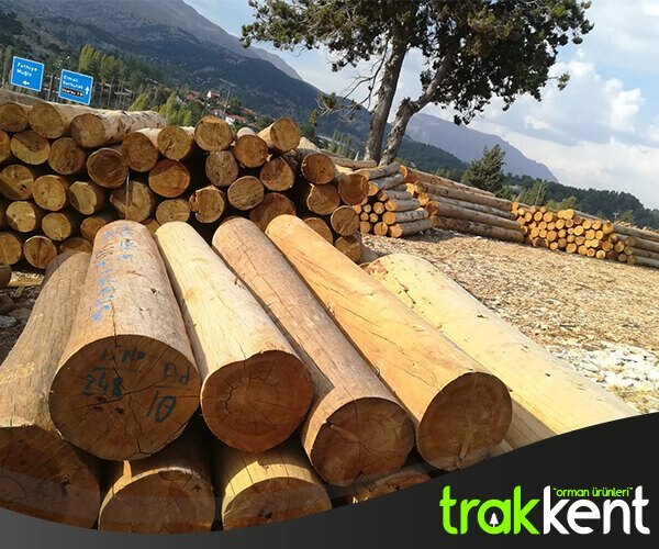 Tomruk Çorlu